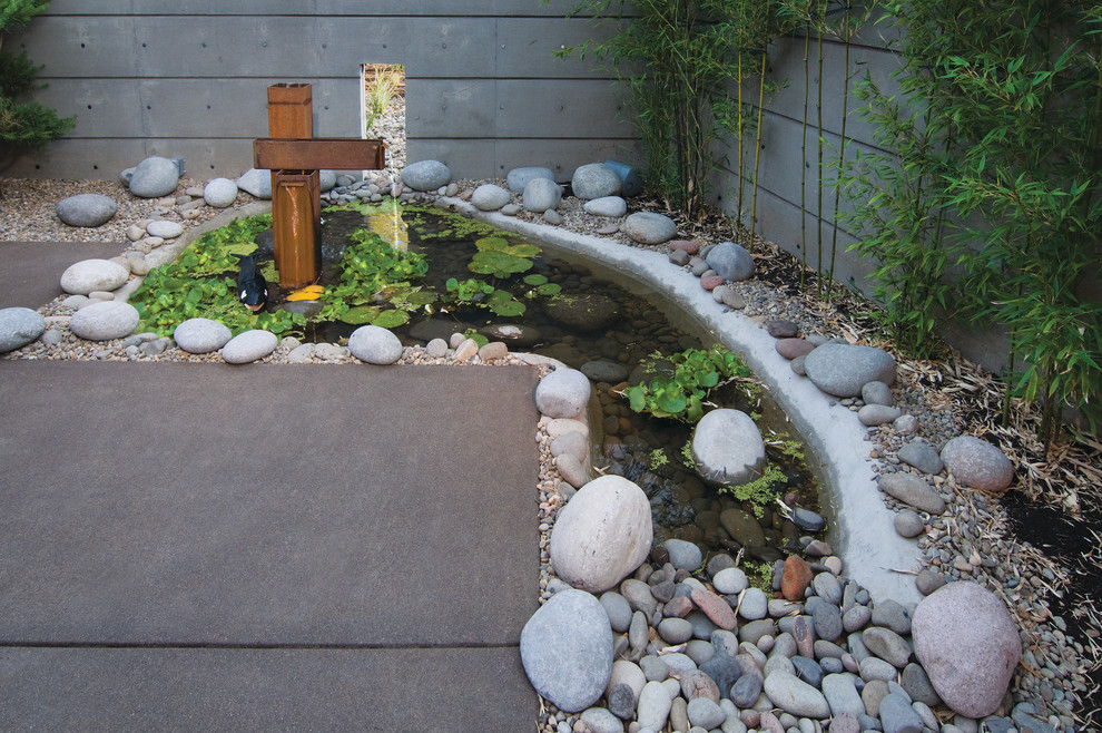 Design ideas for a small transitional full sun courtyard gravel water fountain landscape.