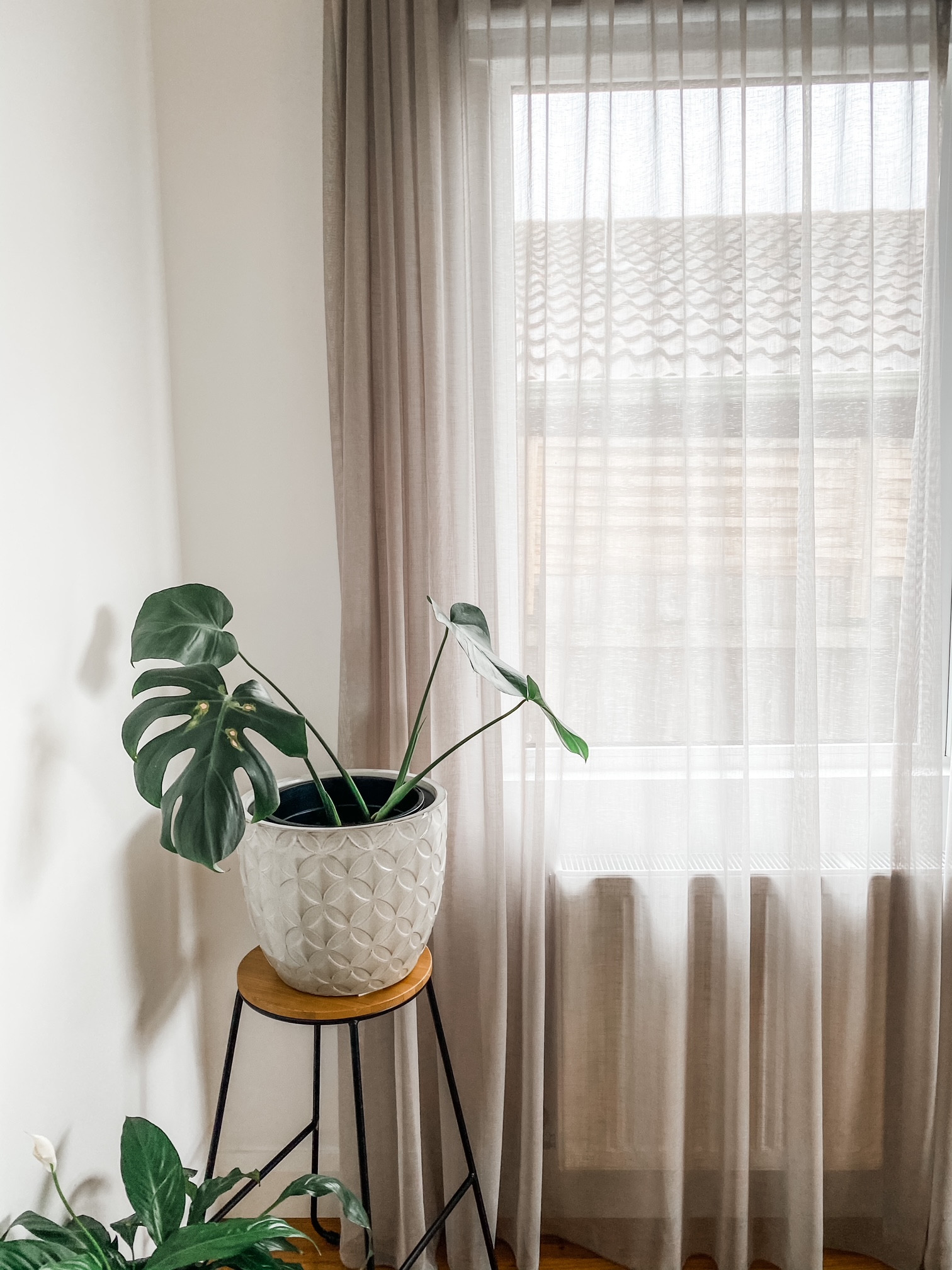 Blackburn North – Hampton-Inspired, Light-Filled & Energy Efficient