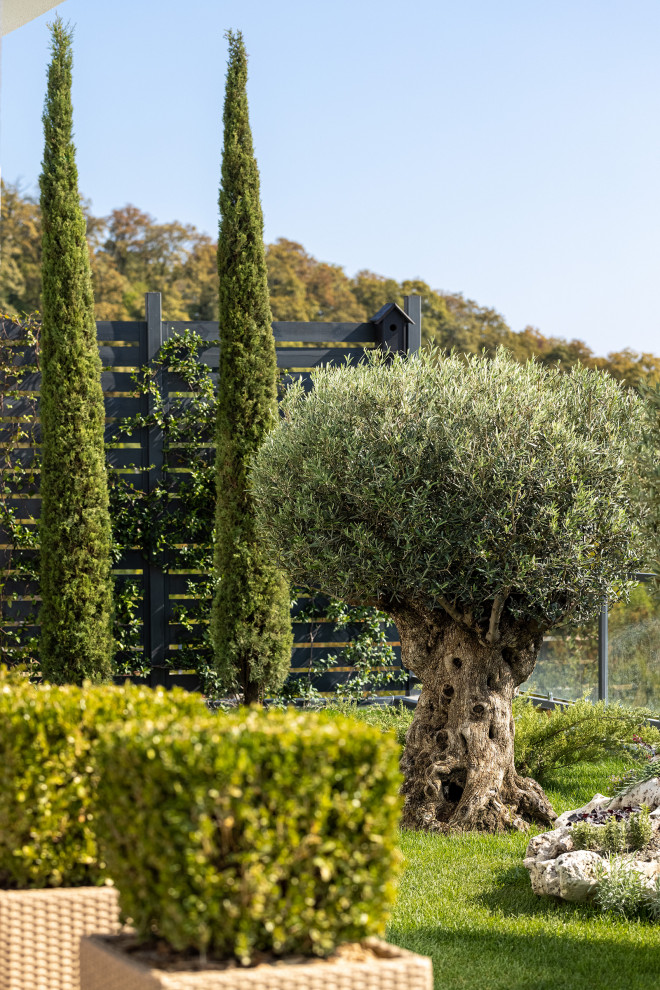 Проект озеленения частного дома, Сочи