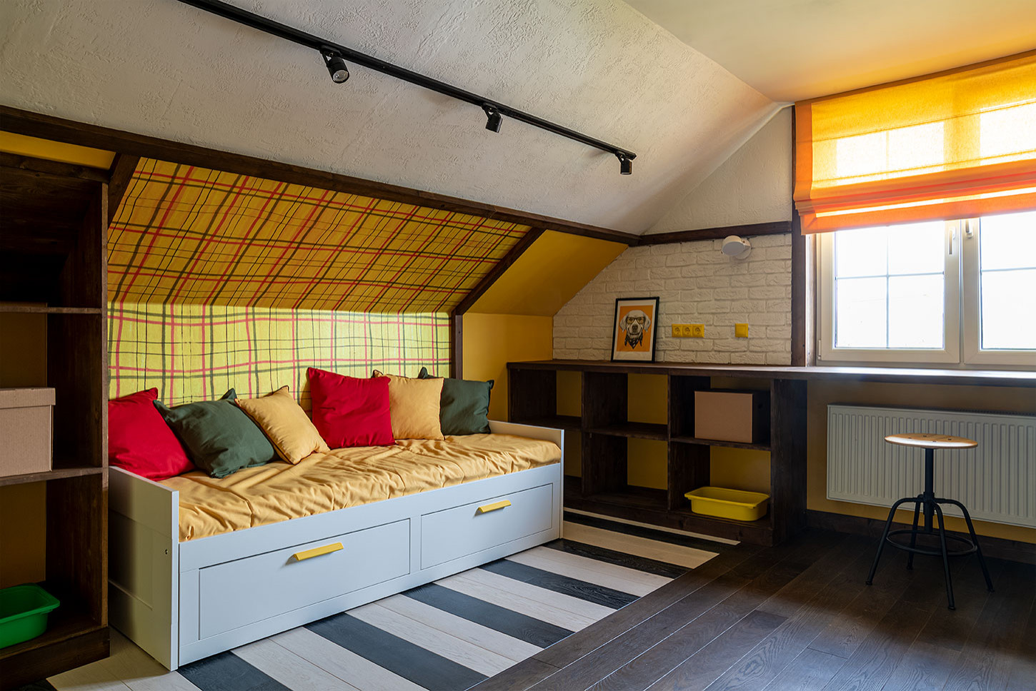 ТВ проект. Фазенда.