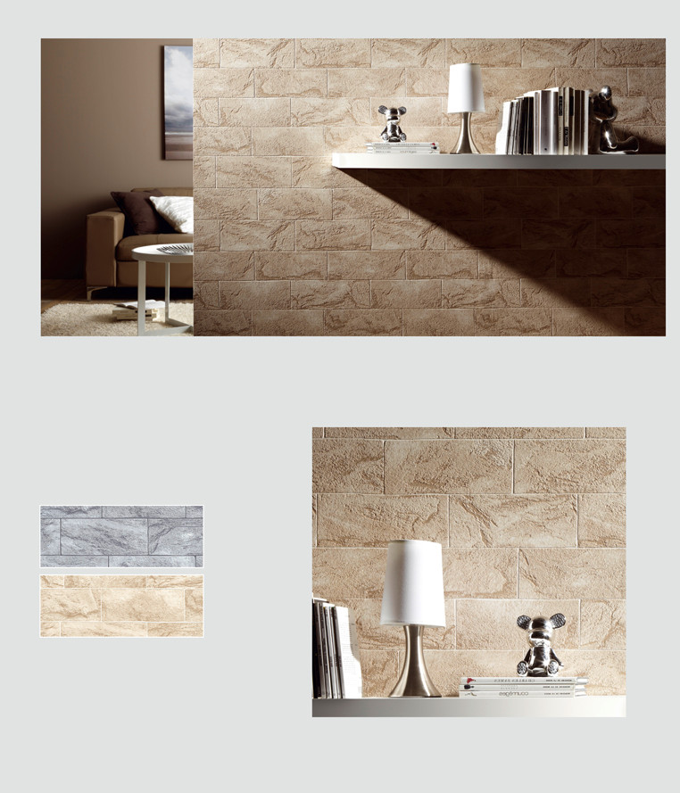 Trendy home design photo in Toronto