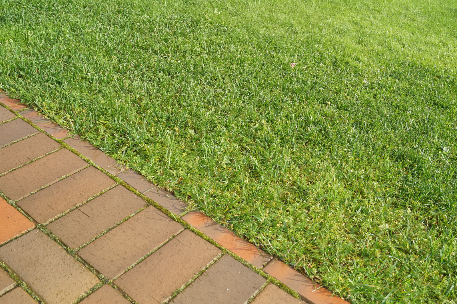 Токкари Лэнд