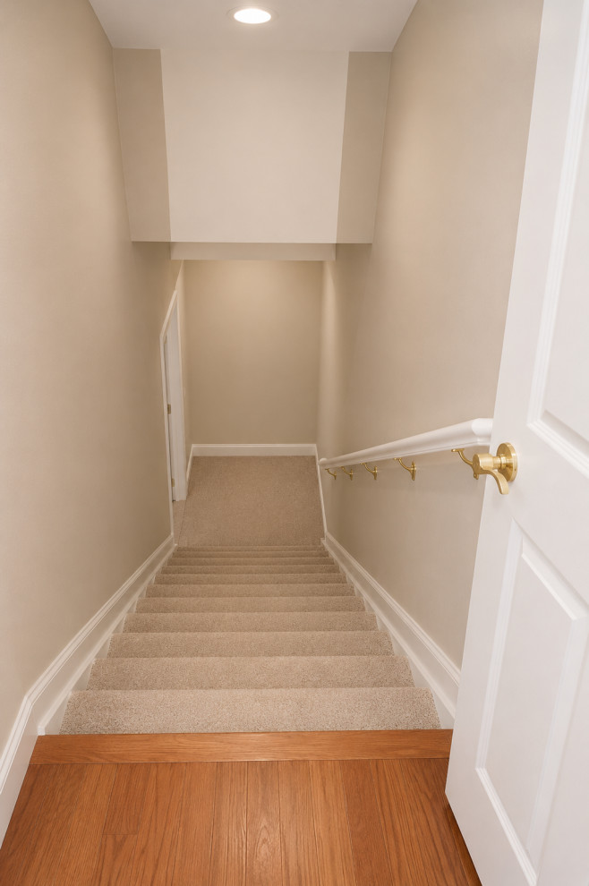Ann Arbor - Basement Family Space, Guest Room & Egress Window