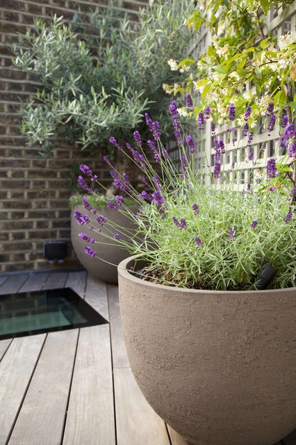 How To Choose The Right Plant Container How To Choose The Right Plant Container
