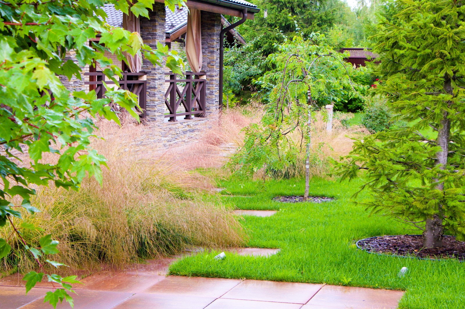 Петровское, 2018-2020 гг.