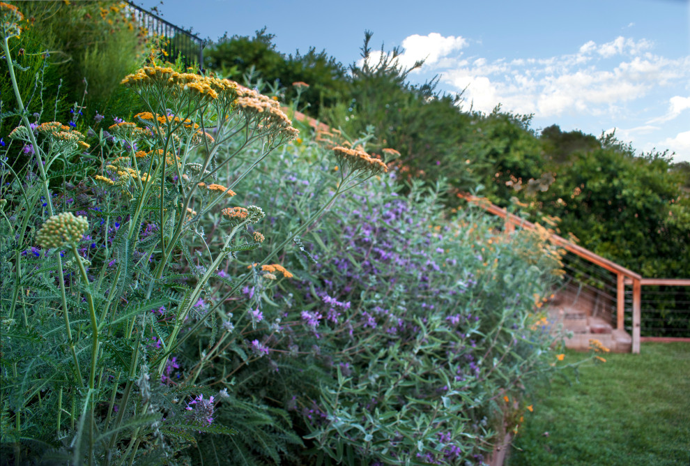 На фото: солнечный, весенний засухоустойчивый сад среднего размера на заднем дворе в стиле лофт с высокими грядками, хорошей освещенностью, покрытием из гранитной крошки и с деревянным забором