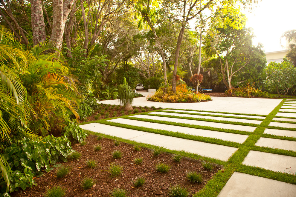 Design ideas for a modern garden in Tampa.