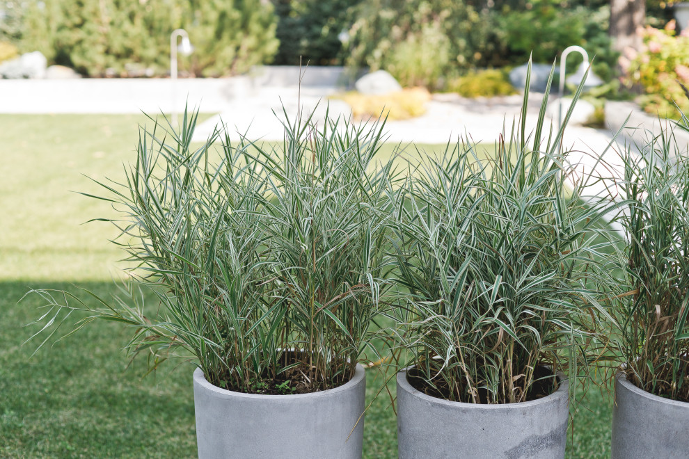 Маленький сад перед таунхаусом