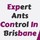 Impressive Pest Control Sunshine Coast