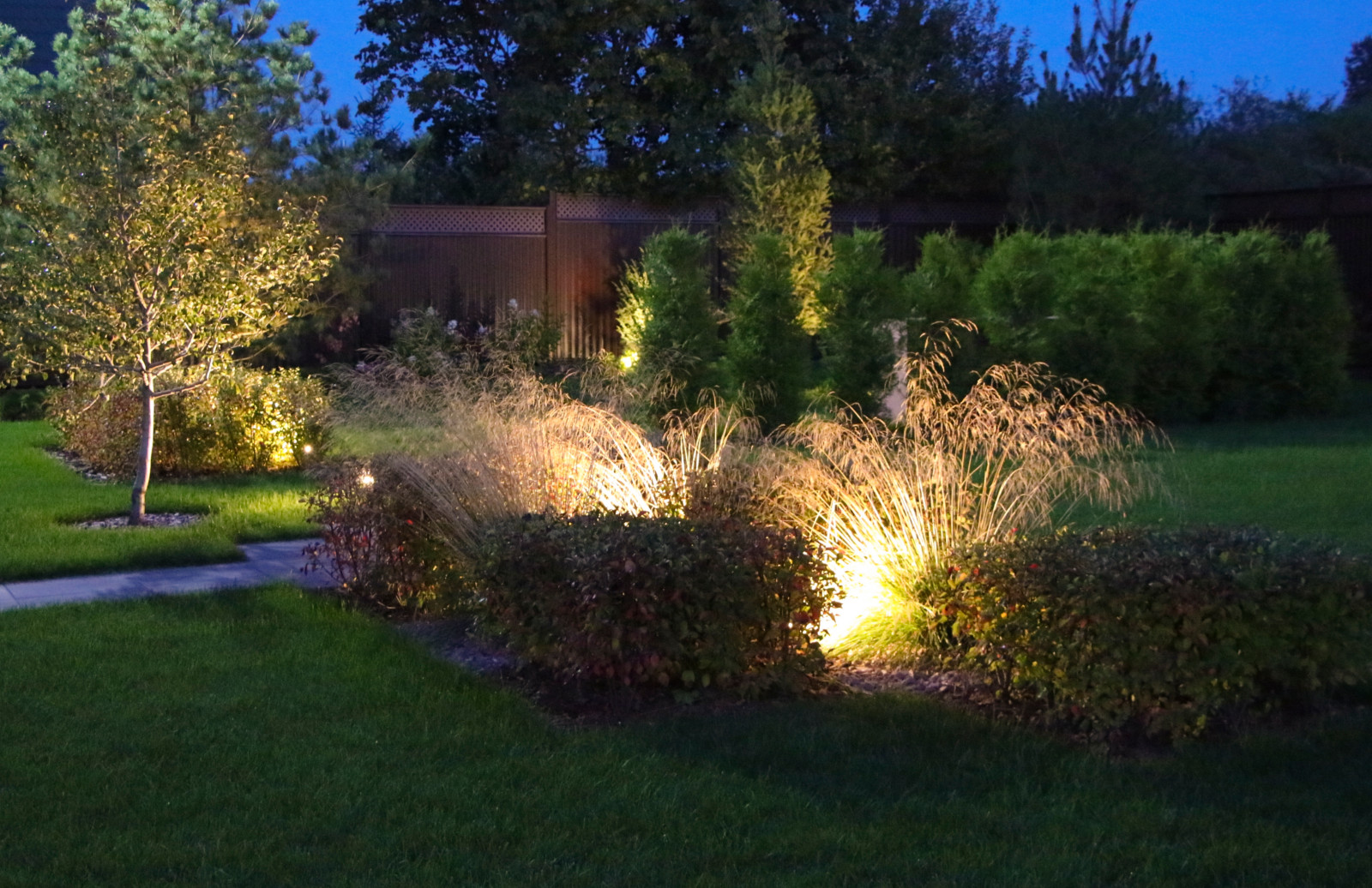 Петровское, ночной сад, 2018-2020 гг.