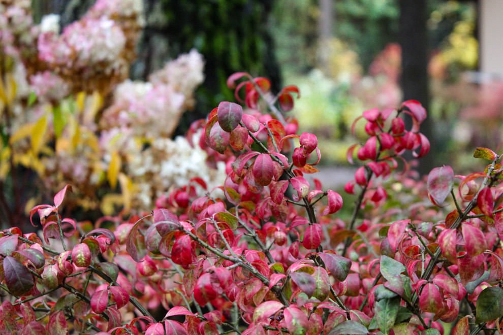 Генеральские дачи