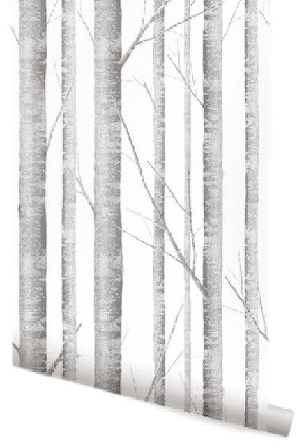 Birch Tree Wallpaper 24 Contemporary By Simple Shapes Houzz - Birch Tree Wallpaper Grey