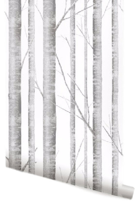 Birch Tree Wallpaper 24 Contemporary By Simple Shapes Houzz - Irvin Grey Birch Tree Wallpaper
