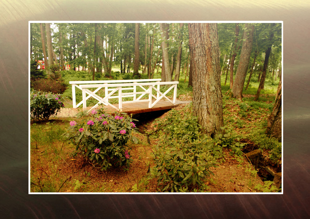 Реализованные проекты