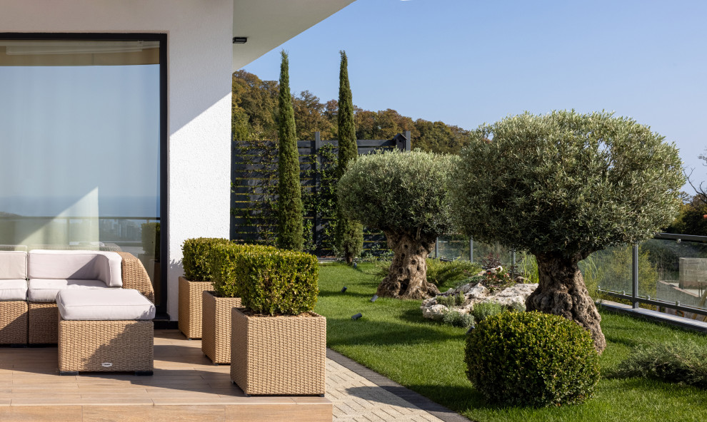 Средиземноморье Сочи