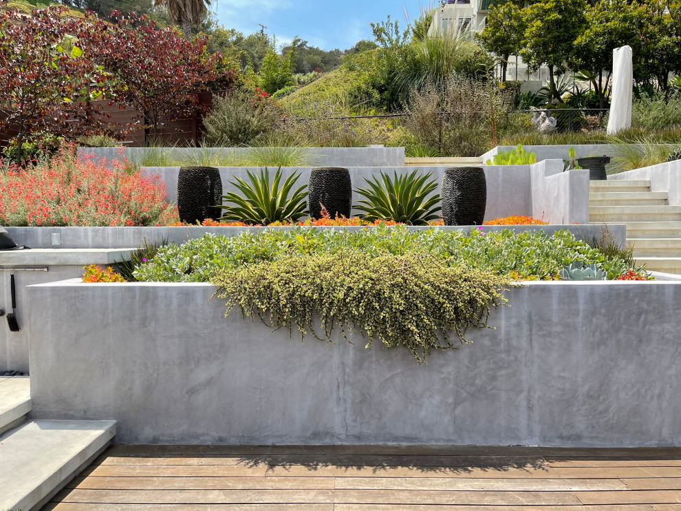 Hillside Modern Home - Contemporary - Landscape - Los Angeles - by dp ...