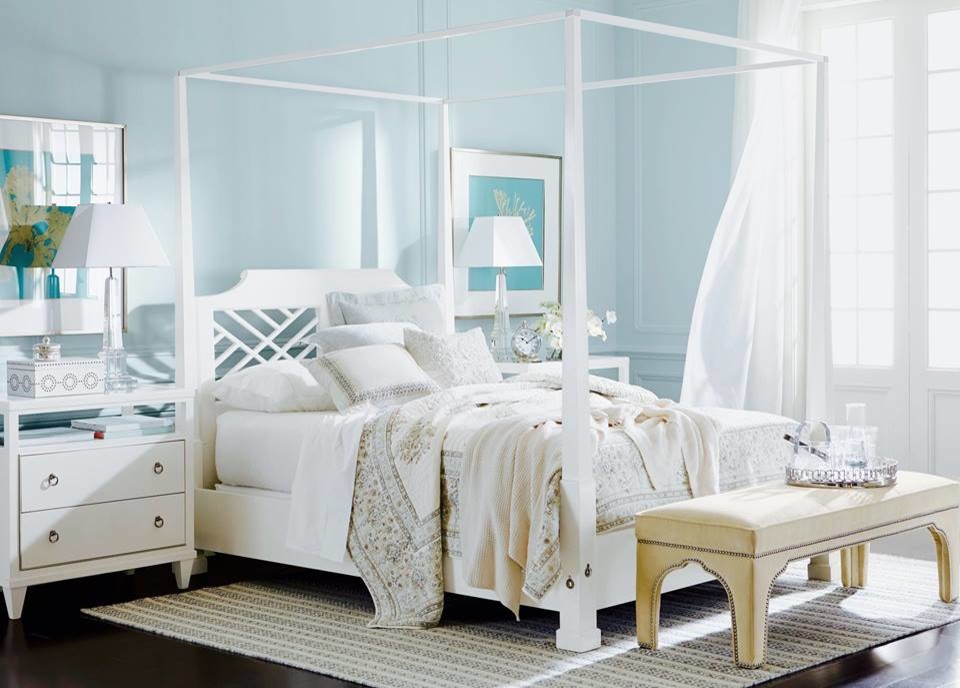 Inspiration for a transitional bedroom in Tampa with blue walls and dark hardwood floors.