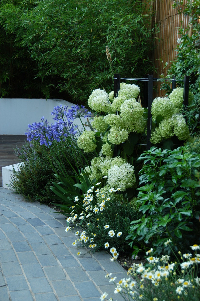 Design ideas for a medium sized contemporary back garden in London with natural stone paving.