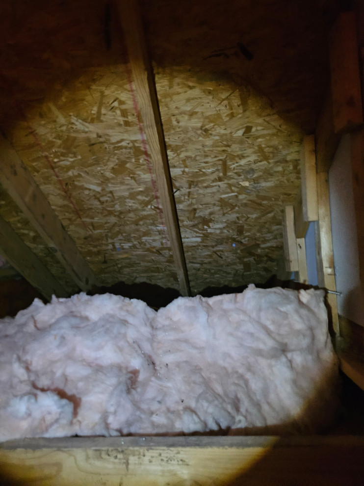 Attic Remodel