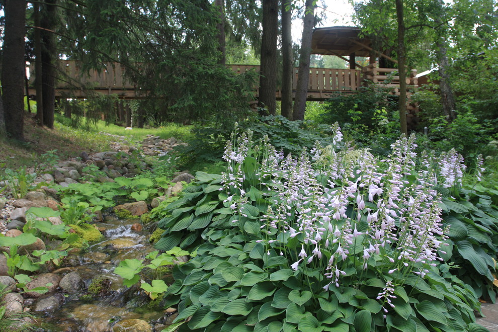 Лесная жизнь