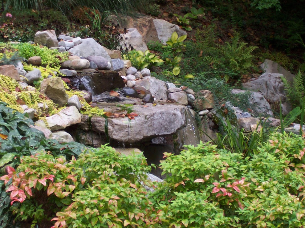 Water Features