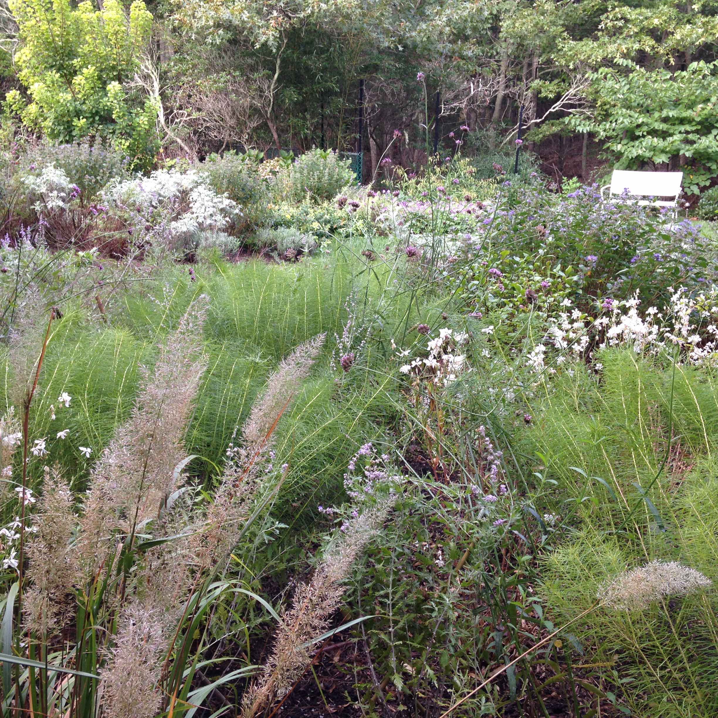 Noyack Sloped Natural Garden