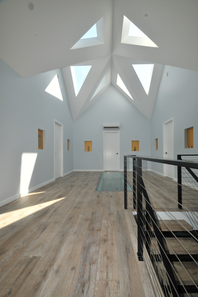 This is an example of a contemporary hallway in Other with blue walls and light hardwood floors.