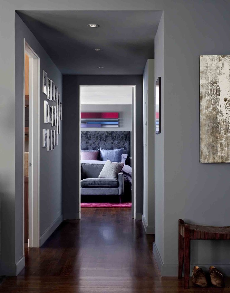 Design ideas for a contemporary hallway in New York with grey walls and dark hardwood floors.