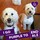 jill_bost