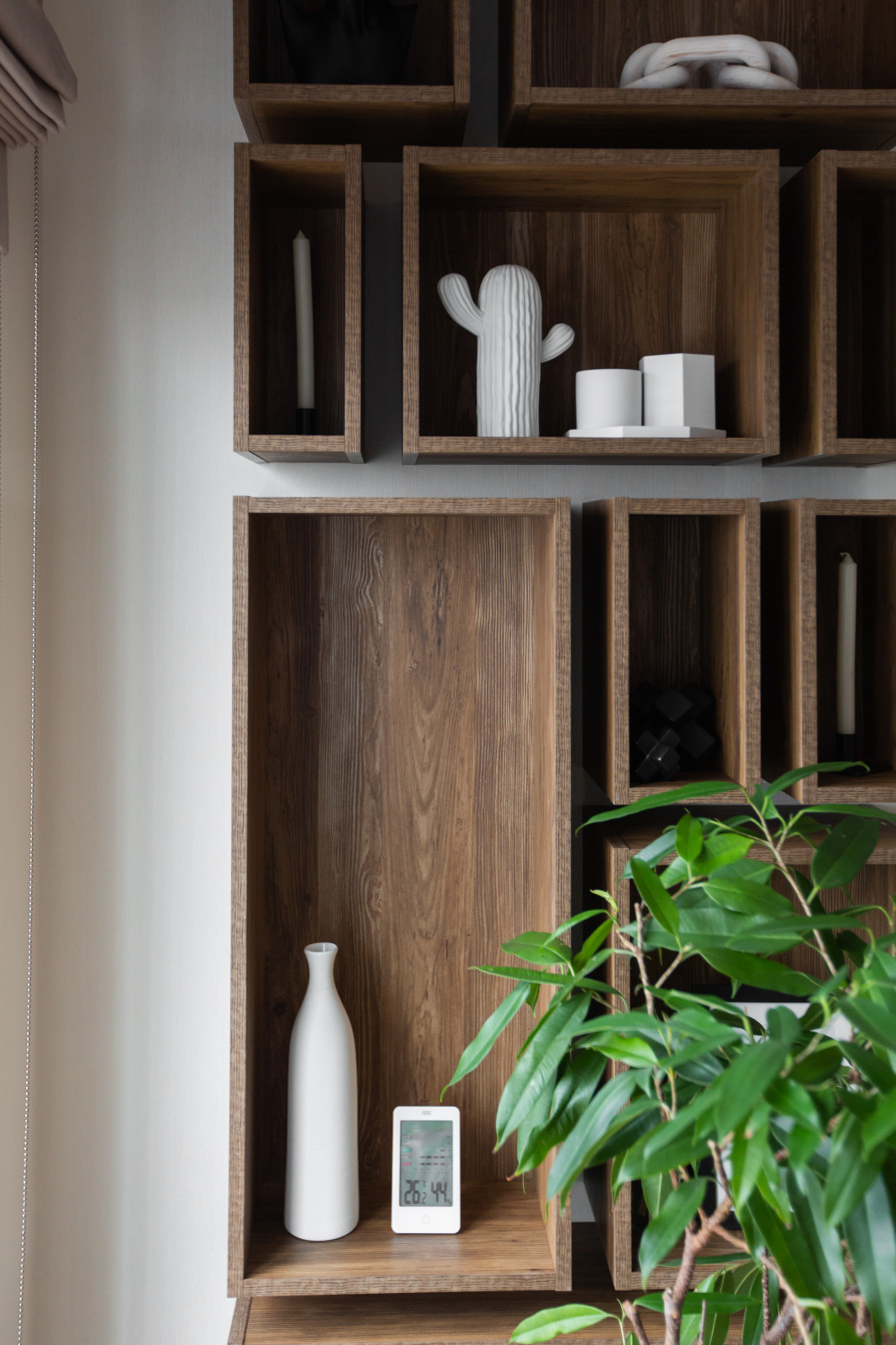 Проект светлое будущее