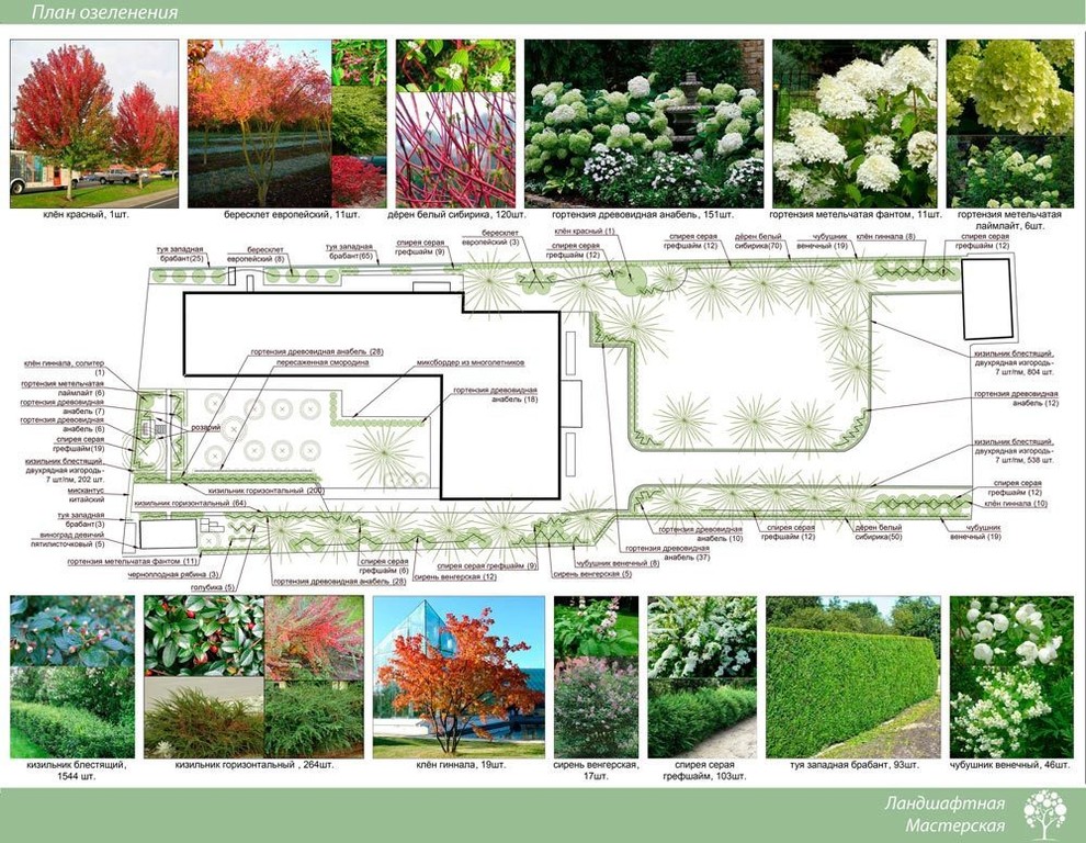 «Эскизный вариант проекта д. Маслово» (35 соток)