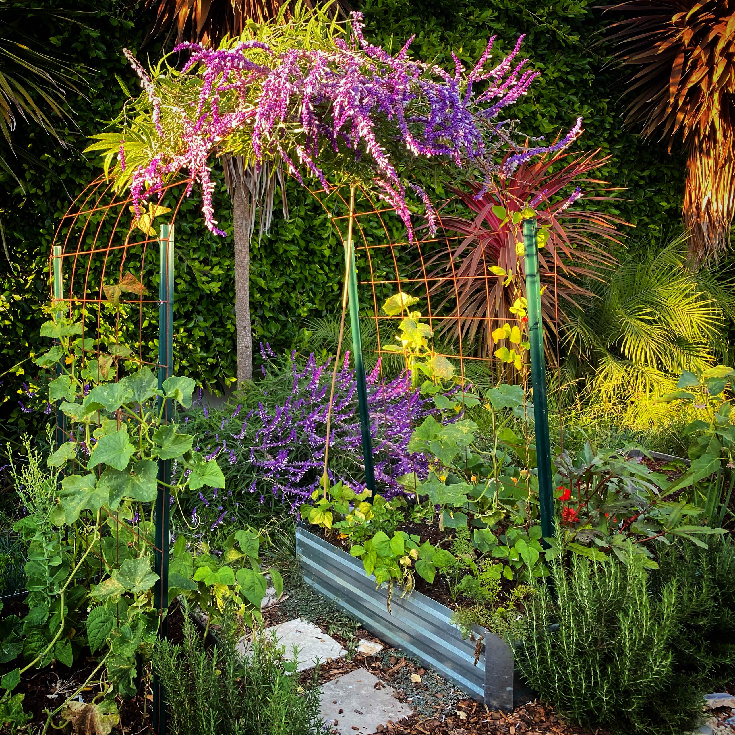 San Pedro, CA - Rustic Kitchen Garden