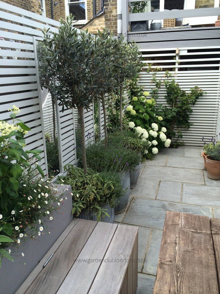 Design ideas for a small modern backyard patio in London with a container garden and natural stone pavers.
