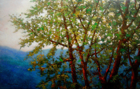 View Thru The Trees. Original By Kanayo Ede