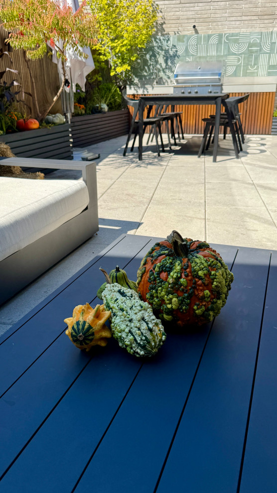 Williamsburg Brooklyn Penthouse