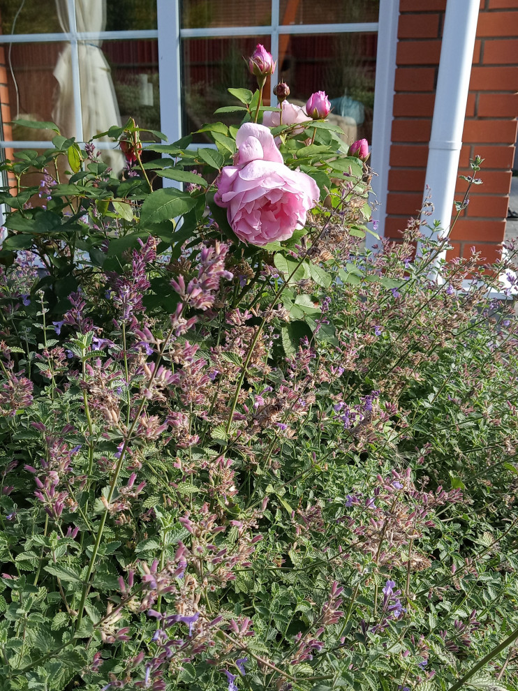 Патио в английском стиле