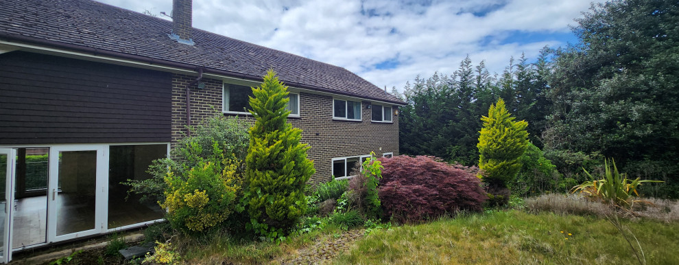 Woodpecker close Cobham