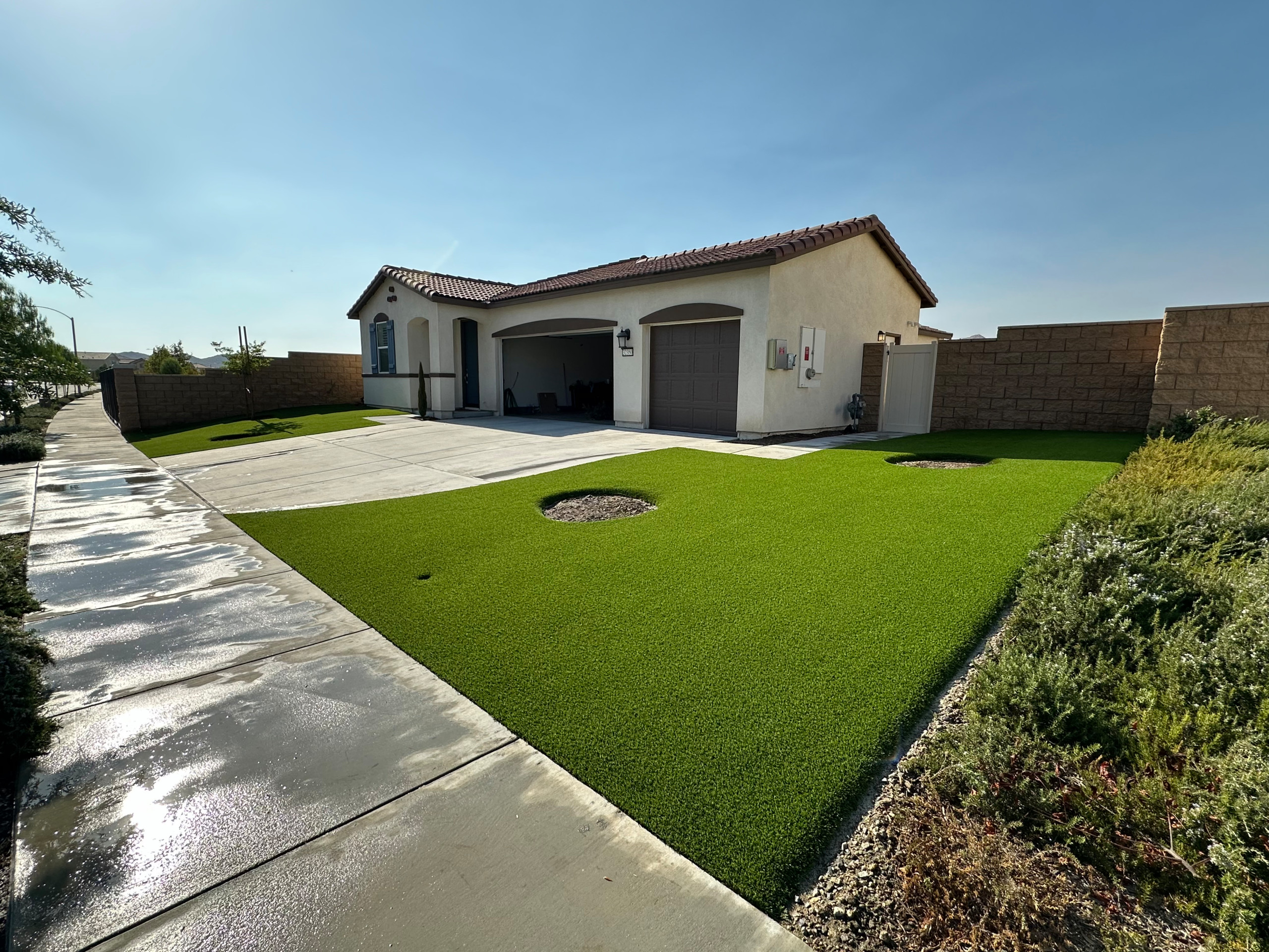 Artificial Turf