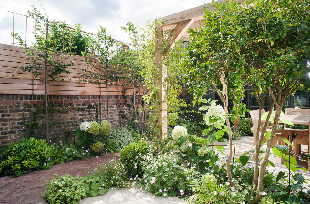 Идея дизайна: маленький участок и сад на заднем дворе в современном стиле для на участке и в саду