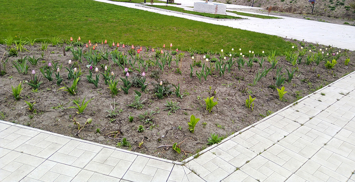 Цветники на территории храма