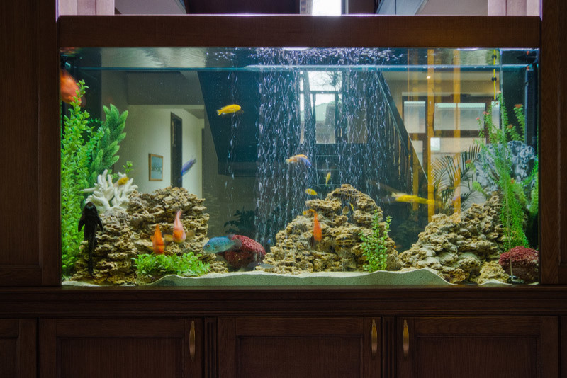 Аквариумы