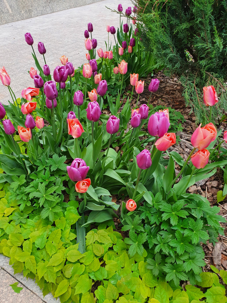 Частный сад