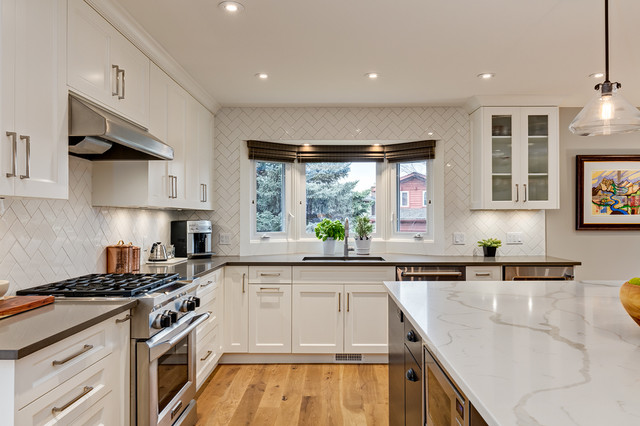 Edgemont Project transitional-kitchen