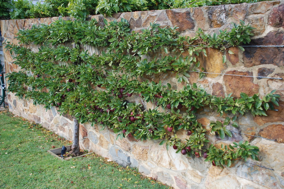 Ispirazione per un giardino