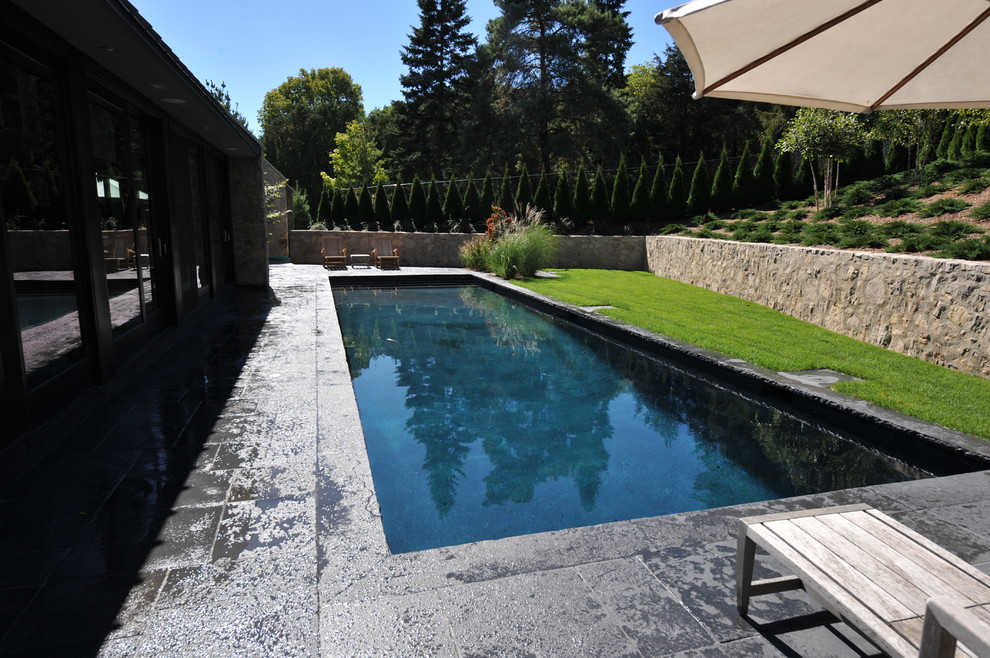 Pool - large modern backyard rectangular lap pool idea in Toronto