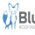 Blue Fox Roofing & Renovations