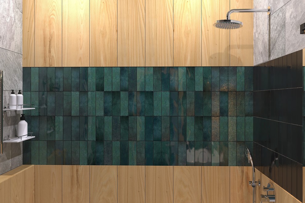 Санузел в проекте "Земля"