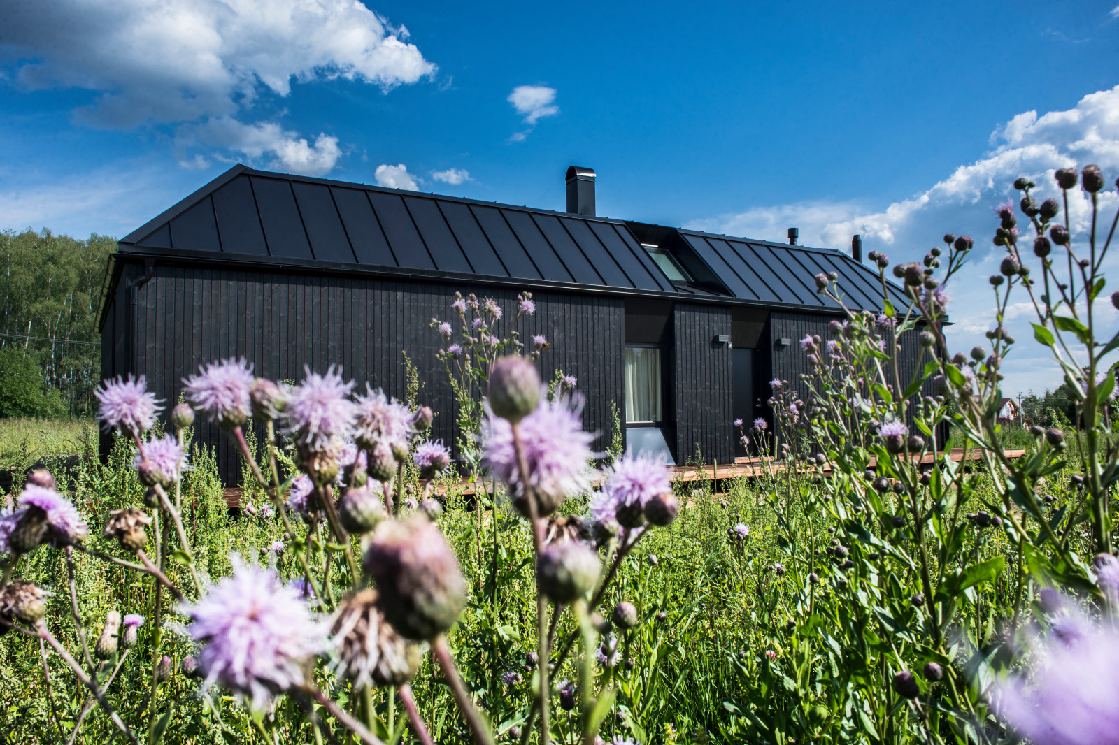 Шведский дом в деревне Палицы