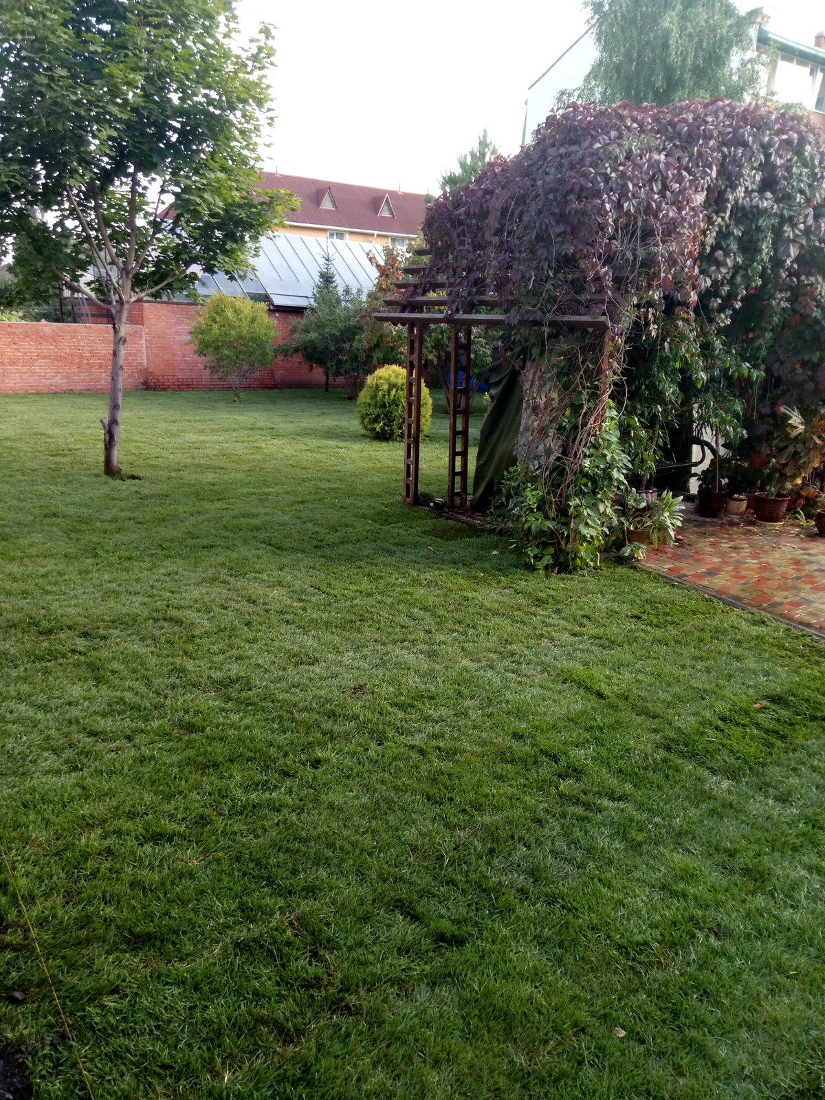 Частная территория (СибНИИСХоз)