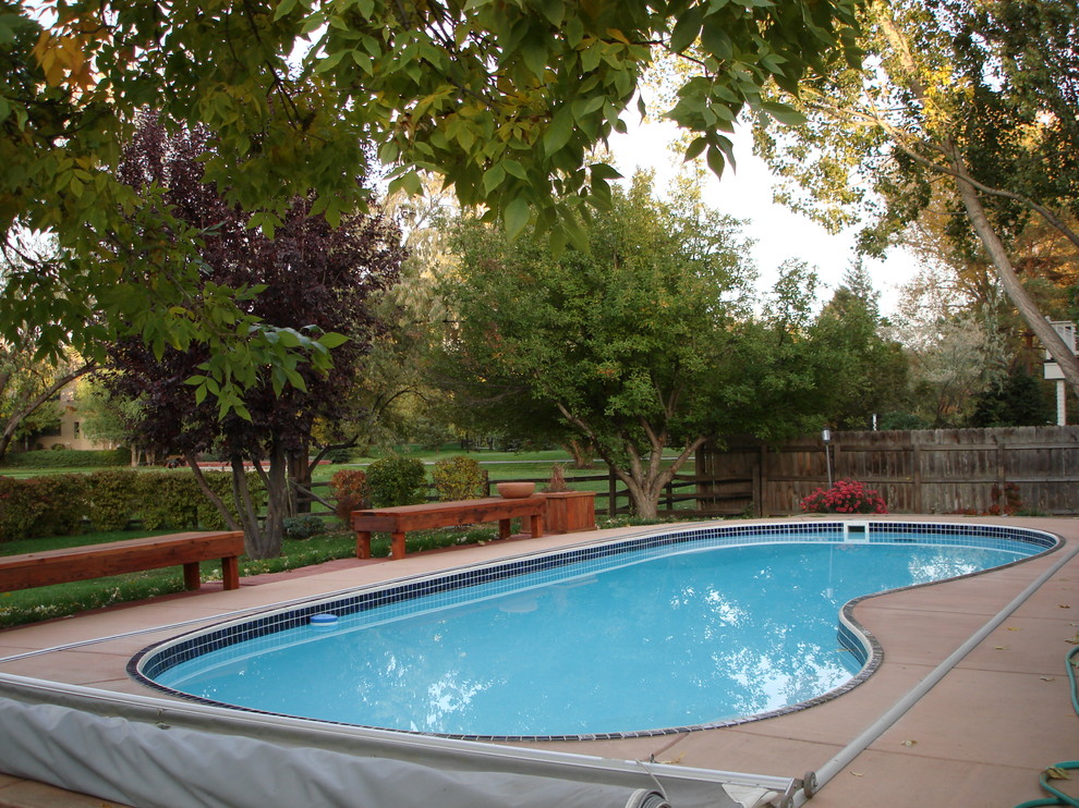 Pool - pool idea in Denver